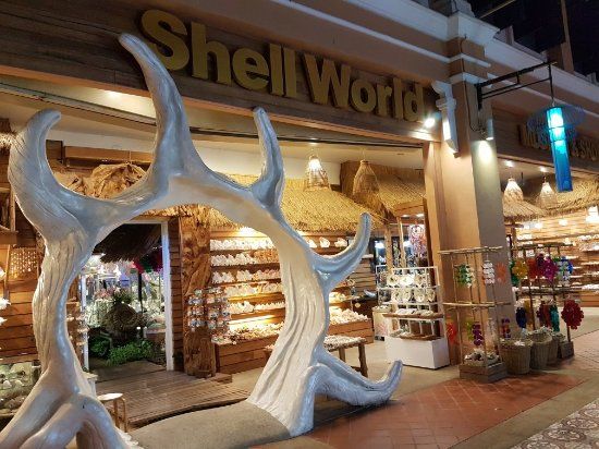 Museo delle conchiglie